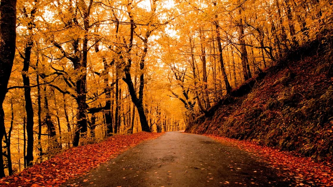 Top 5 des routes panoramiques en France à faire en automne