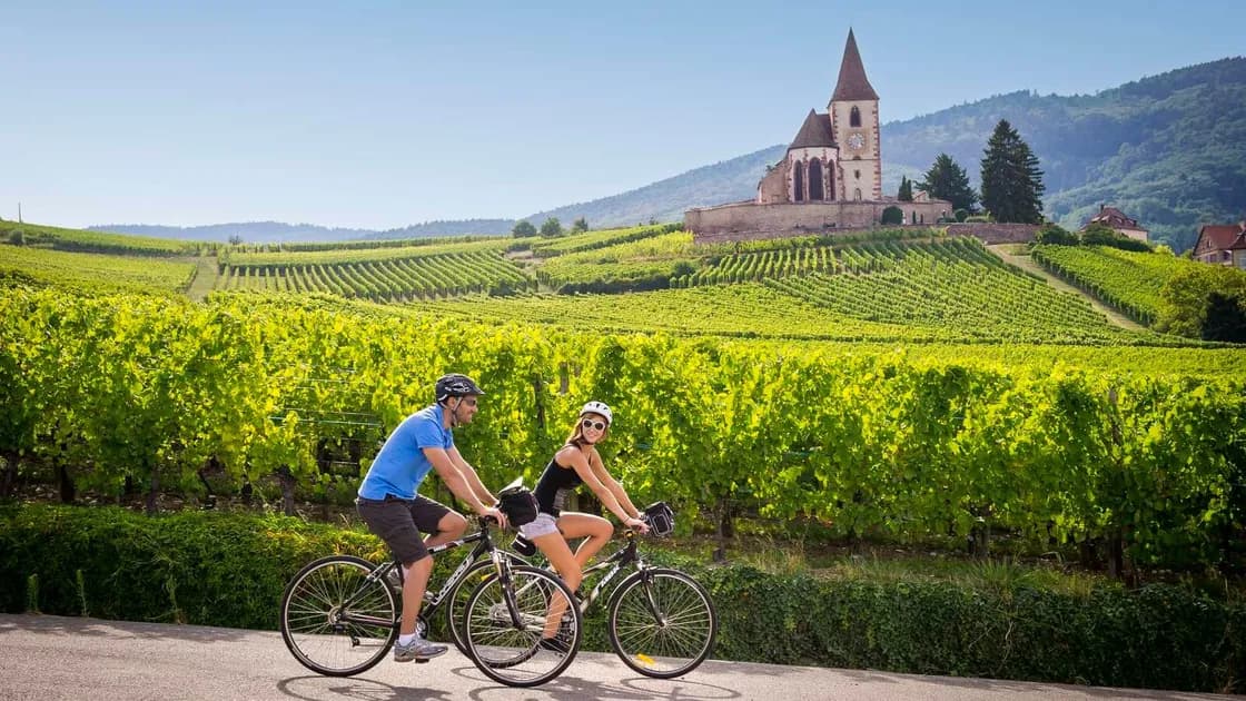 Les 5 plus belles voies vertes et véloroutes en France pour t’évader à vélo