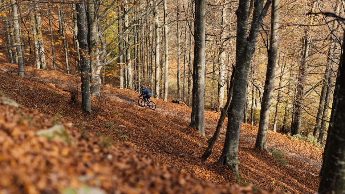 Cinq spots pour une sortie gravel cet automne